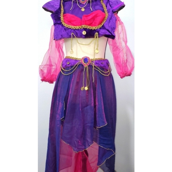 Other - Princess Jasmine Halloween Costume